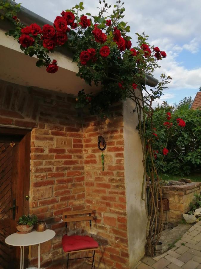 Mives Vendeghaz Hotel Pogány Exterior photo