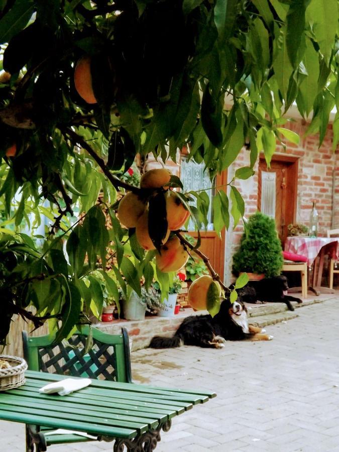 Mives Vendeghaz Hotel Pogány Exterior photo